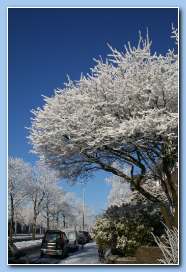 Arnhem Snow 145